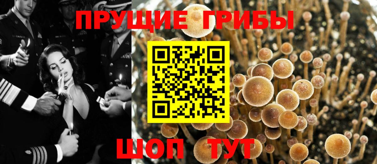 Ярцево  Галлюциногенные грибы ЛСД  Вход с VPN 