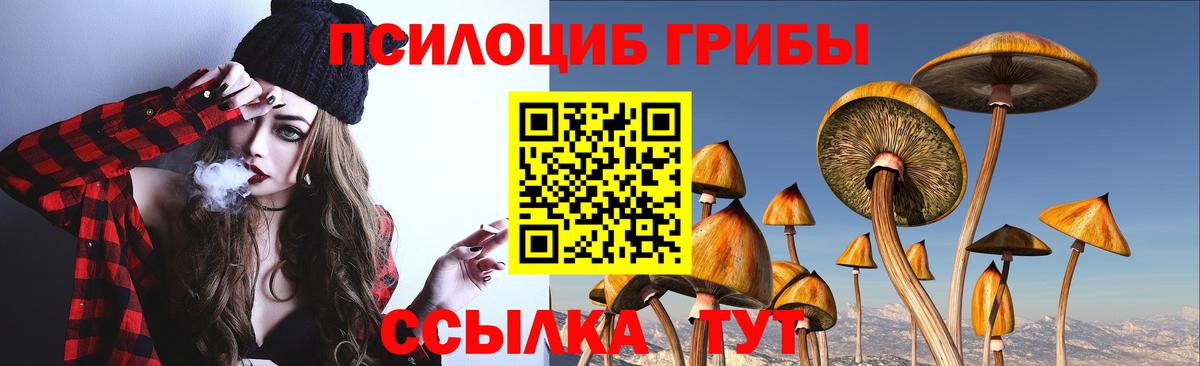 Галлюциногенные грибы прущие грибы Ярцево